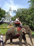 Elefantenritt um den Wat Phnom